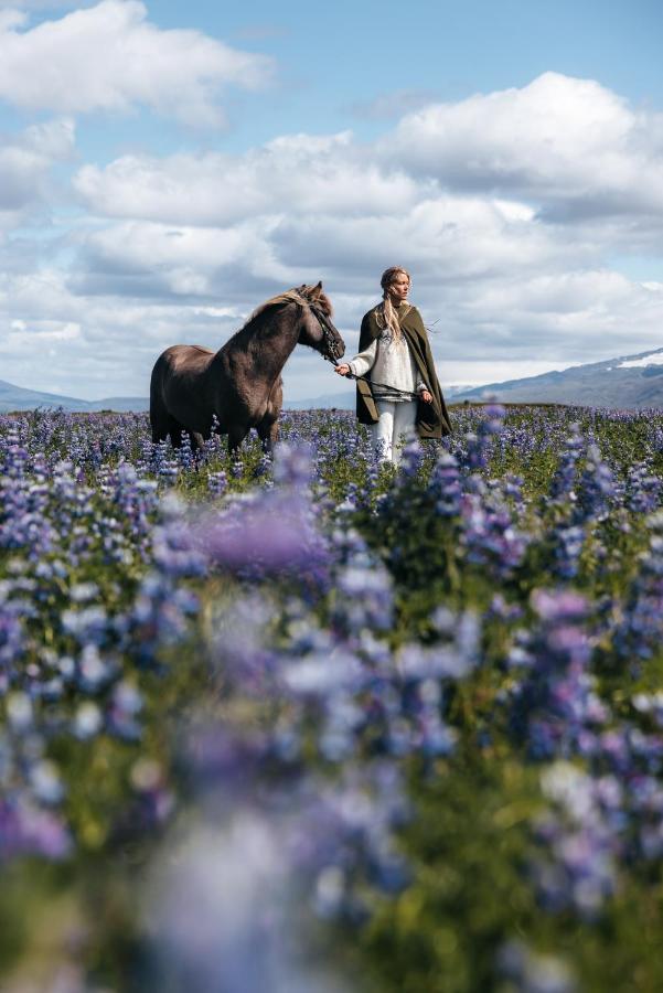 Sleeping With The Horses Apartment Hvolsvollur Luaran gambar