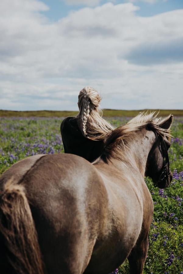 Sleeping With The Horses Apartment Hvolsvollur Luaran gambar