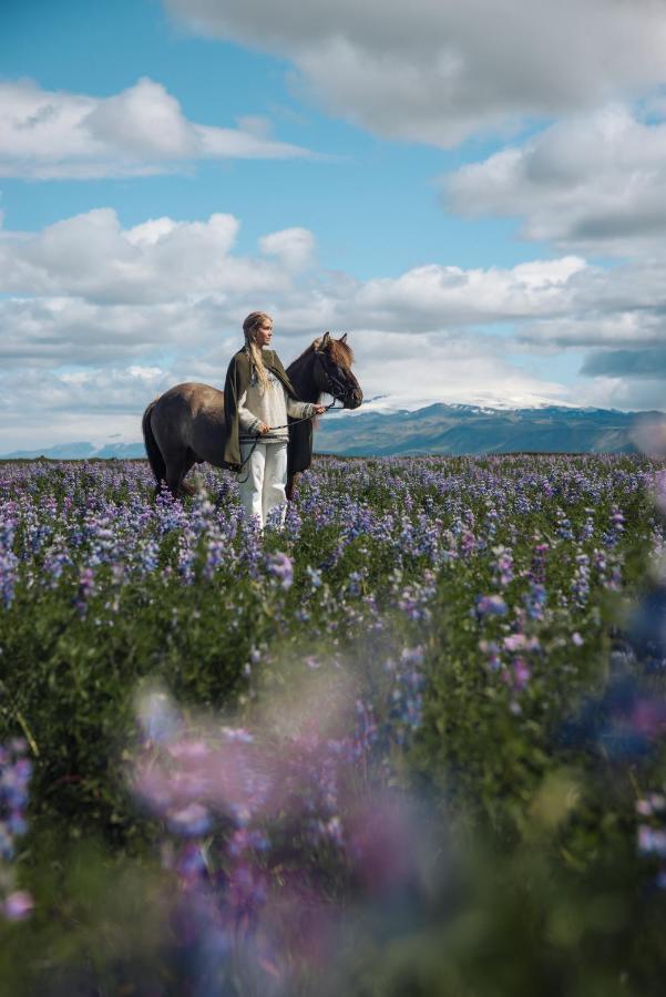 Sleeping With The Horses Apartment Hvolsvollur Luaran gambar