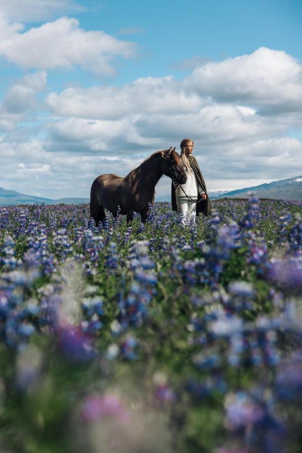 Sleeping With The Horses Apartment Hvolsvollur Luaran gambar