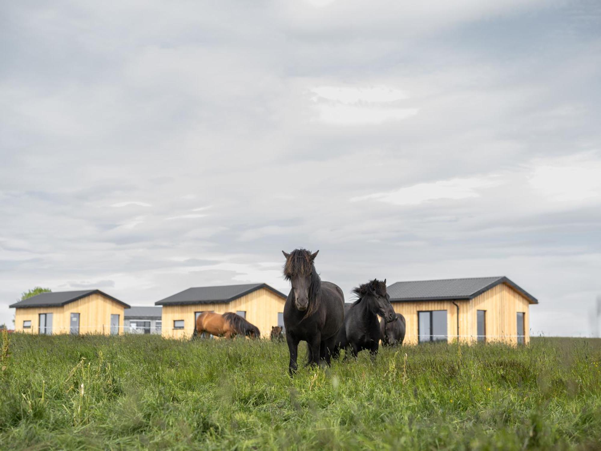 Sleeping With The Horses Apartment Hvolsvollur Luaran gambar