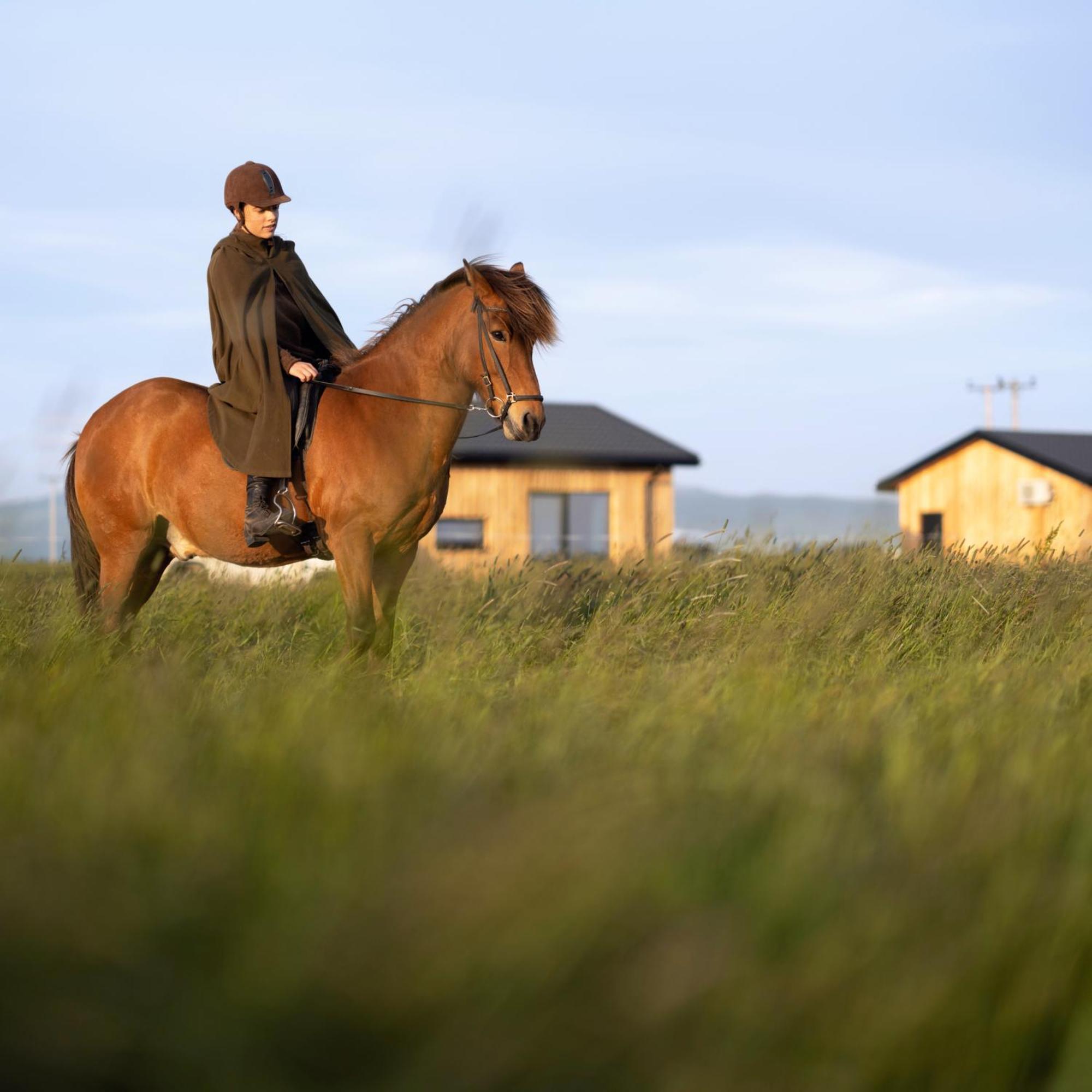 Sleeping With The Horses Apartment Hvolsvollur Luaran gambar