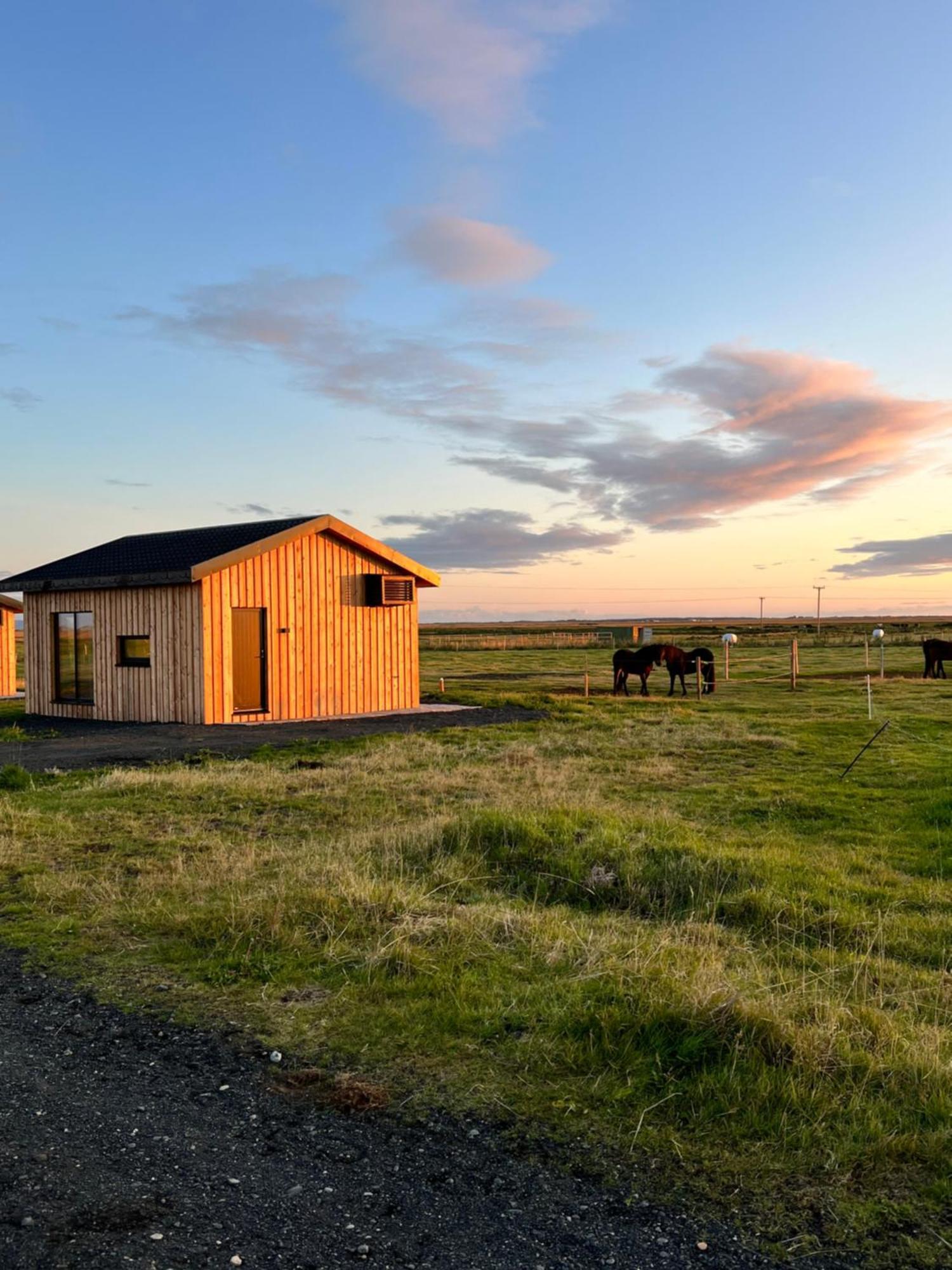 Sleeping With The Horses Apartment Hvolsvollur Luaran gambar