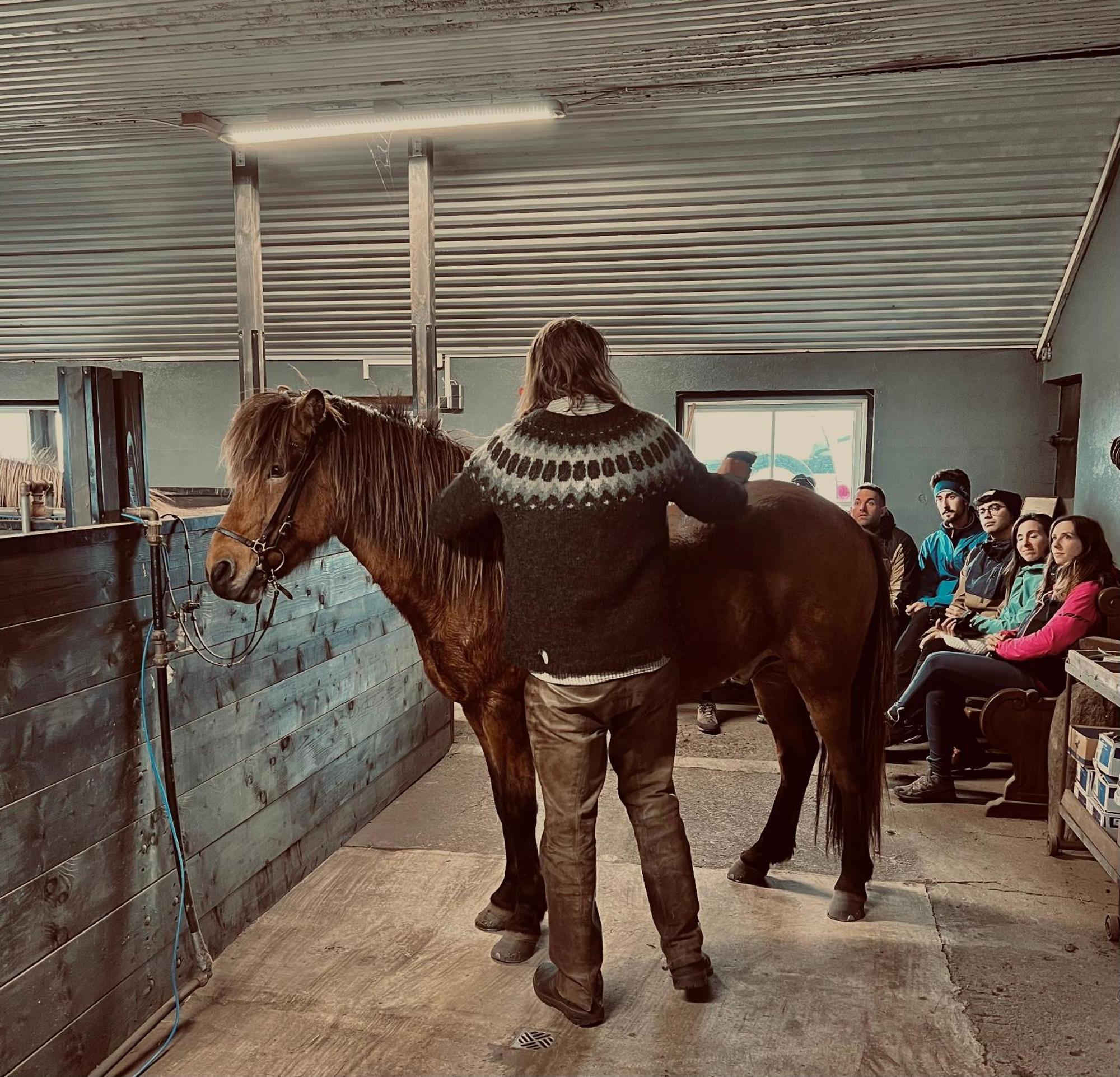 Sleeping With The Horses Apartment Hvolsvollur Luaran gambar